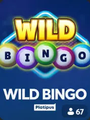 Wild Bingo BC Game Italia game cover