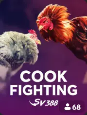 Cock Fighting BC Game Italia game cover